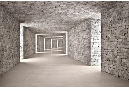 murando Fototapete selbstklebend 3D Tunnel 490x280cm Foto Tapete Tapetenfolie Möbelfolie Wandverkleidung Wandtapete Motivtapeten Bildtapete Schlafzimmer 3d Effekt Flur Mauer Ziegel d-B-0332-a-b