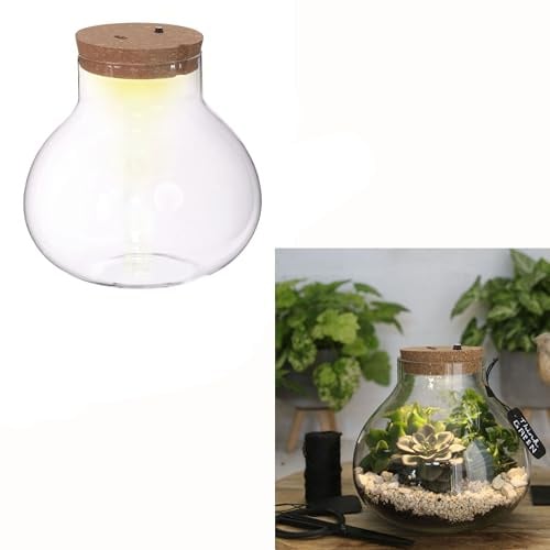 Annastore Pflanz-Terrarium mit LED-Beleuchtung - H 20 cm - Ø 20,5 cm | Pflanzenglas - Flaschengarten - Pflanzenterrarium - Mini-Garten - Bonsai-Garten - Glas-Terrarium