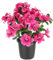 Flair Flower Kunstblume Azaleen im Topf 29cm Rhododendron Blumen künstlich Seidenblume Dekoblume Floristik Topfpflanze Blühende Pflanze Blume Kunstpflanze Blumendeko Tischdeko Zimmerpflanze, Azalee