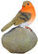 Selections Robin on a Stone Resin Garden Ornament