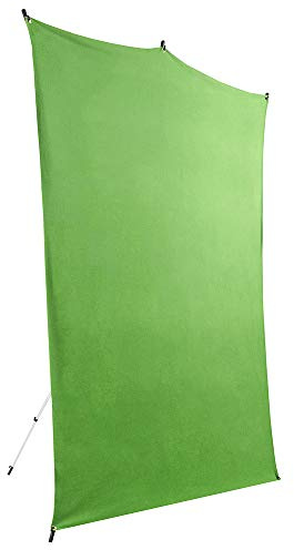 Savage Travel Backdrop Kit, Green Floor Extended Backdrop, Size 1.52m x 2.13m, Photo Backdrop with Aluminum Stand, Carry Bag with Shoulder Strap