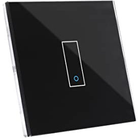 IOTTY LSWE21B Switch Einfachschalter E1 schwarz Smarter Lichtschalter