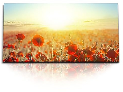 Paul Sinus 120x60cm Wandbild - farbenfrohe Natur mit Mohnblumen im Sonnenlicht, Leinwandbild Naturmotiv für eine warme und friedliche Atmosphäre