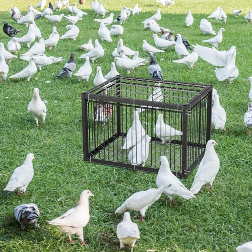 MUALROUS 43CM Cage à Pigeons avec Conception à l’Épreuve De l’Évasion | Pliant Entrée à Sens Unique, Patio Extérieur Jardin Cage
