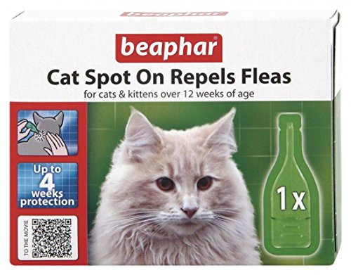 Beaphar Cat Spot On 4 Weeks