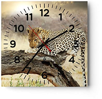 Modern Wanduhr Afrika Leopard Katze Safari 30x30cm Quadrat Klein Wand Uhr Glas Analog Zimmeruhren Küche Büro Wohnzimmer Glasuhr Wall Clock Dekoration Design Wanddekoration Küchenuhr C4AC30x30-2599