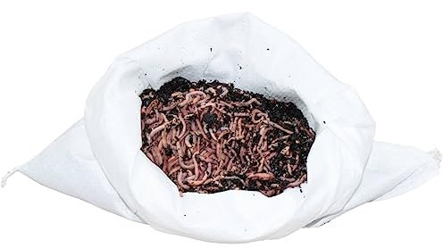 0,5 kg Gartenwürmer - für 50 m² Fläche - Bodenverbesserer - Die einfachste und natürlichste Methode Ihren Gartenboden auf zu lockern und zu durchlüften - Lehmboden auflockern