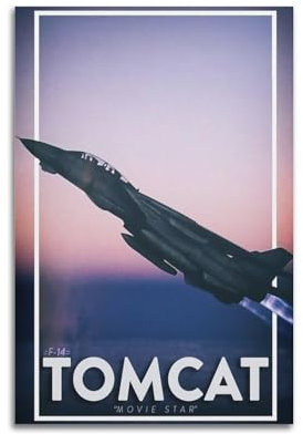 qiyan F-14 Kampfflugzeug-Poster, Motiv: Tomcat Militärflugzeug, dekoratives Gemälde, Leinwand, Wandposter und Kunstdruck, moderne Familienschlafzimmer-Dekoration, Poster, 40 x 60 cm