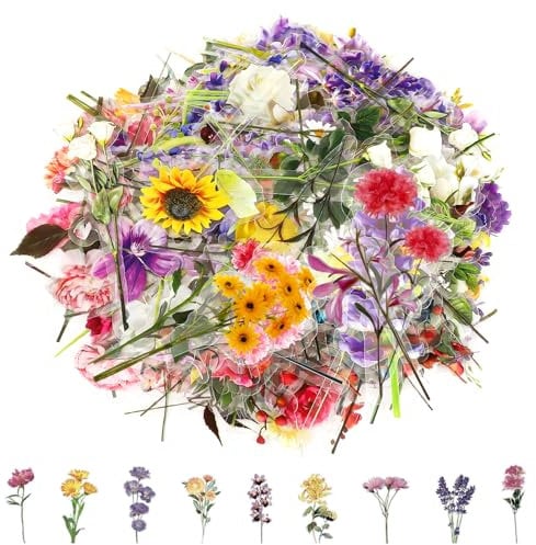 Augshy 200 Stück Aufkleber Blumen, Transparente Scrapbooking Sticker PET Aufkleber Pflanzen Blumen Aufkleber für Scrapbook Fotoalben, Sammelalbum, Laptop, Basteln (100 Stile)
