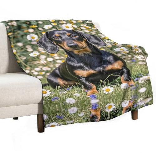 Pad-Dackel-Decke, superweicher Flanell-Überwurf, warme dekorative Plüschdecke für Couch, Sofa oder Bett, Herbstdekoration, Geschenk, super gemütlich und bequem für alle Jahreszeiten, 101,6 x 152,4 cm