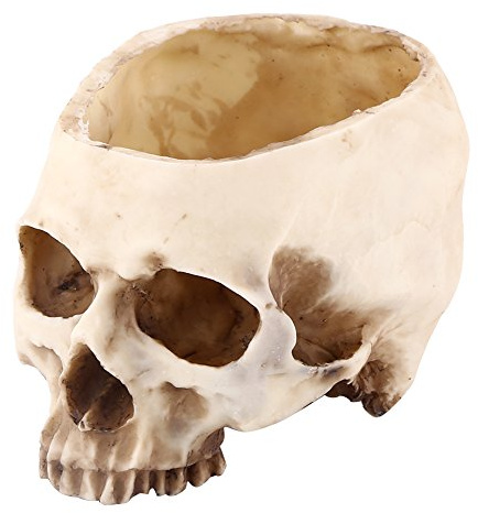 Totenkopf-Topf, 1 Stück, Harz Totenkopf-Design Lustige Blumentöpfe, Pflanzschale | Bonbonschale | Skelett-Dekoration | Ausgefallene Blumentöpfe für Bar-Dekoration