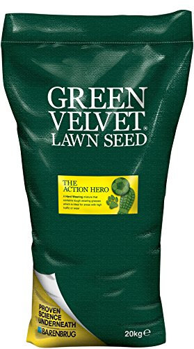 Green Velvet 20Kg Lawn Seed The Action Hero