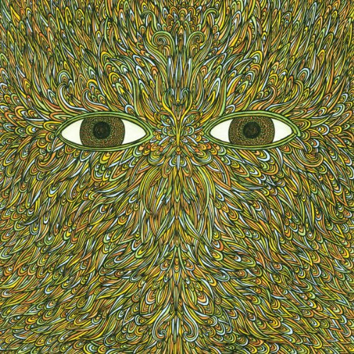 Warp