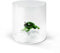 WD Lifestyle Bicchiere in vetro borosilicato. Capacità 250 ml. Decoro rana.