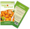 Physalis Andenbeere Kapstachelbeere Samen - Physalis peruviana - Andenbeerensamen - Obstsamen - Saatgut für 50 Pflanzen