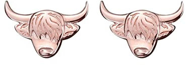 Kuh-Ohrstecker -Ohrringe niedlicher Tierliebhaber Schmuck Geschenke Cowboy-Geschenke Jungen M?chen Ohrringe Alternativ
