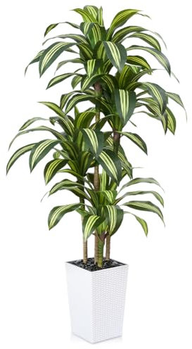 VeriNatural Drácena Artificial 180 cm - Planta Artificial Grande con Hojas Ajustables, Protección UV, Maceta Blanco Cónica Plantas - Decorativas para Hogar, Oficina, Jardín e Interior Exterior, VN127