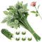 SWEWARM Lot de 50 tiges de roses artificielles et calices pour décoration de bouquet de mariage