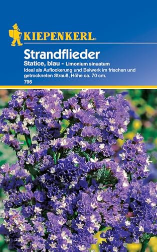 Kiepenkerl Strandfliedersamen Statice 796 - Ideal als Auflockerung und Beiwerk im frischen und getrockneten Strauß - Blumensamen Mischung, Saatgut