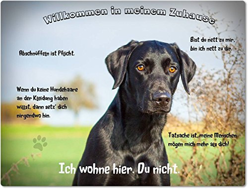 Merchandise for Fans Blechschild/Warnschild/Fun Türschild 20x30cm - Willkommen in Meinem Zuhause - Motiv: Labrador schwarz Porträt - 02