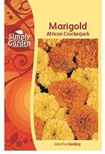 Simply Garden Marigold African Crackerjack Flower Seeds Grow Your Own Plants