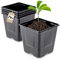 KADAX Lot de 5 pots de fleurs carrés en plastique - Pour semis - 11,2 cm - Noir