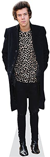 Harry E. Styles (2013) Pappaufsteller mini