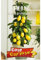 Semi - Limone (Citrus Limon)