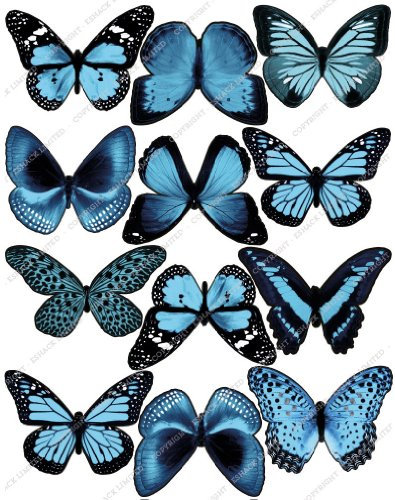 Cakeshop 12 x Vorgeschnittene Hellblau Essbare Schmetterlingskuchen Topper (Tortenaufleger, Bedruckte Oblaten, Oblatenaufleger)