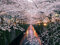 Fabulous Poster Affiche Japon Cerisier en Fleur Canal Sakura Ville Decoration