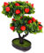 Cabilock Künstliche Früchte Künstliche Pflanzen Kunstpflanzen Grüne Innendekoration Dekoration Für Büro Dekorationen Heimdekoration Bonsai Grün Für Den Innenbereich