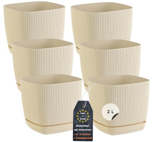 Engelland - 6 x Blumentopf mit Drainagesystem, Untersetzer, Farbe: Beige, Rillenoptik, Pflanz-Topf, Kübel, modern, Kunststoff, quadratisch, 15 x 15 cm, 2 Liter