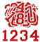 Morcheiong 40 Pcs Iron on Number Patches 0-9, 2 Inch Iron on Embroidered Numbers for Clothing, Pants, Hats, Bags- Red