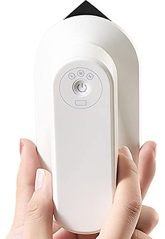 Fer à Repasser Portable sans Fil avec Batterie Rechargeable, Repassage Efficace pour la Maison et les Voyages
