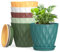 10cm Plant Pots, 6 Pack Plastic Flower Pots with Drainage Holes and Saucers, Indoor Outdoor Planters for Succulent and All House Plants(Colourful)