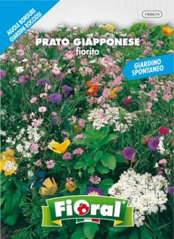 Sementi da fiore di qualità in bustina per uso amatoriale (PRATO GIAPPONESE FIORITO)