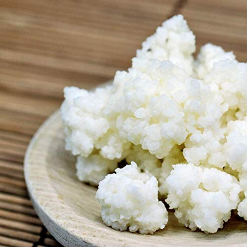 Kefiring - Grani di Kefir da latte italiani microbiologicamente controllati (Manuale d'uso dettagliato ed informazioni di utilizzo)