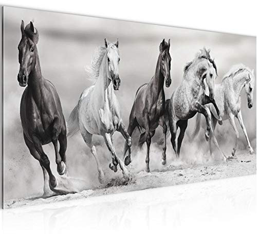 Runa Art Wandbild Pferde 1 Teilig 100 x 40 cm Modern Bild auf Vlies Leinwand Tiere Wohnzimmer Schlafzimmer Schwarz Weiss 014112c