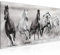 Runa Art Wandbild Pferde 1 Teilig 100 x 40 cm Modern Bild auf Vlies Leinwand Tiere Wohnzimmer Schlafzimmer Schwarz Weiss 014112c