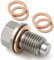 ZWWOGE 1 Pezzi M14x1.5 Tappo Di Scarico Dell'olio Magnetico per Auto, Guarnizione Magnetica per Vasca Dell'olio,Bullone Tappo Coppa Olio con Rondella Rame,Universale per Auto,tappo coppa olio motore