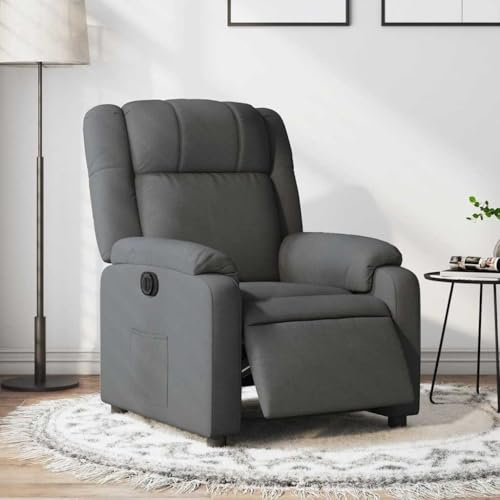 Frdhee Stillsessel Loungesessel Wohnzimmer,Relaxsessel Elektrisch Dunkelgrau Stoff,Stillsessel fürs Wohnzimmer Balkon Lounges