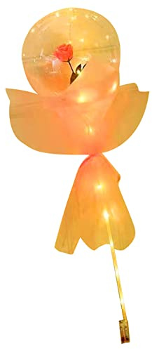 Riuulity Leuchtende Rosenballons mit LED-Licht, Valentinstagsgeschenke für Mädchen, Umweltfreundliches Kunststoffmaterial (PINK)