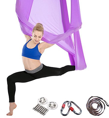 Aerial Anti-Gravity Yoga Sling Hammock Kit Flying Air Yoga Equipment Silk Swing Set for Indoor and Outdoor, Include Carabiner,Daisy Chain,Ceiling Anchors (Purple)