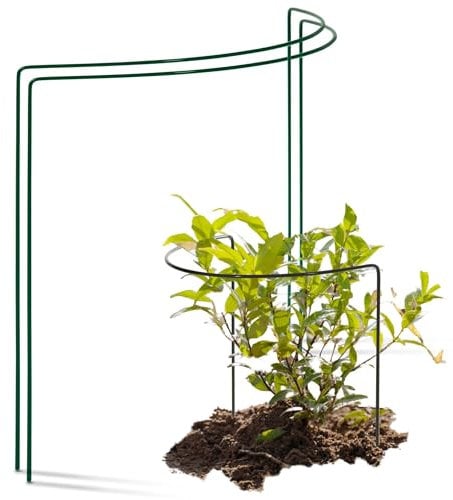 Novatool Lot de 2 tuteurs d'arbustes - Demi-cercle vert - 50 x 40 cm - Pour plantes grimpantes