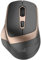 Souris sans Fil silencieuse Cool Ergonomic Noir/doré