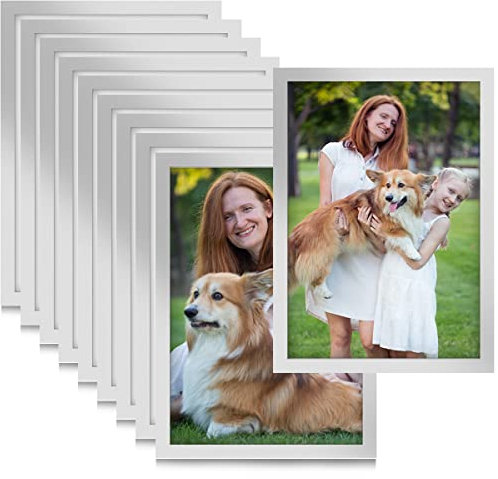 MOPLA 10 Stück Durable Inforahmen A5 Selbstklebend Magnetisch Bilderrahmen,Plakatrahmen Magnetisch Dokumentenhalter,Magnetischer Rahmen DIN A5 21 x 14.8cm mit Silber Rand