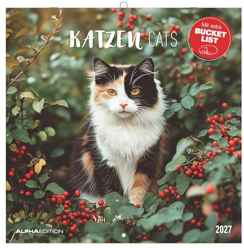 Katzen 2027: Wandkalender 30x30 cm (30x60 cm geöffnet) mit Notizkalendarium, 12 Katzenfotografien und Bucket-List