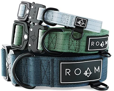 Made to ROAM Premium-Hundehalsband, verstellbares, strapazierfähiges Nylon-Halsband mit Schnellverschluss-Metallschnalle (Carolina Blooms, klassische Größe 3)