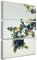 Artis Prints Leinwandbild Blüte | Apfelbaum - Blume, Natur - Kirschblüte, Cherry Blossom, Deko - Inneneinrichtung, Wohnzimmer - Klein bis Groß