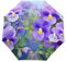GAIREG Faltbarer Regenschirm mit Stiefmütterchen-Motiv, automatisches Öffnen und Schließen, kompakt, winddicht, Violett, Blühende Stiefmütterchen Blumen lila